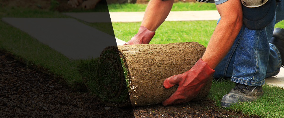 Essex Landscapers
